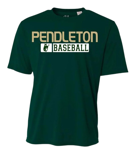 Performance Baseball Pants